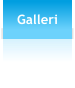 Galleri