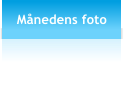 Mnedens foto